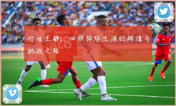 对话王静：回顾排球生涯的辉煌与挑战之路