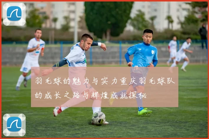 羽毛球的魅力与实力重庆羽毛球队的成长之路与辉煌成就探秘