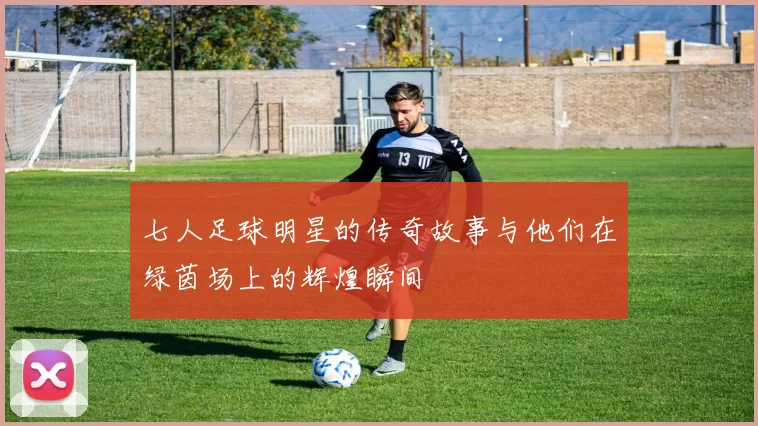 七人足球明星的传奇故事与他们在绿茵场上的辉煌瞬间