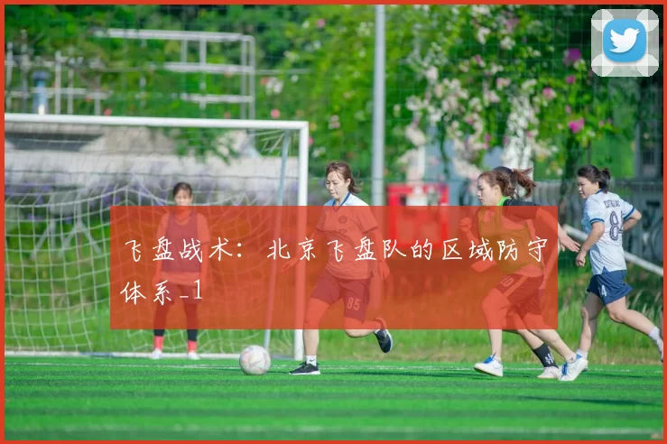 飞盘战术：北京飞盘队的区域防守体系_1